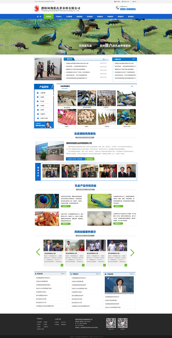 藍(lán)孔雀養(yǎng)殖|孔雀養(yǎng)殖|北京建站