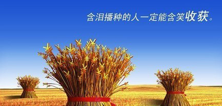 網(wǎng)站內(nèi)容不更新|網(wǎng)站需要每天添加內(nèi)容嗎|北京制作網(wǎng)站