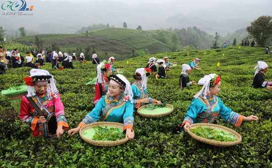 疾病控制中心網(wǎng)站建設|北京網(wǎng)站制作