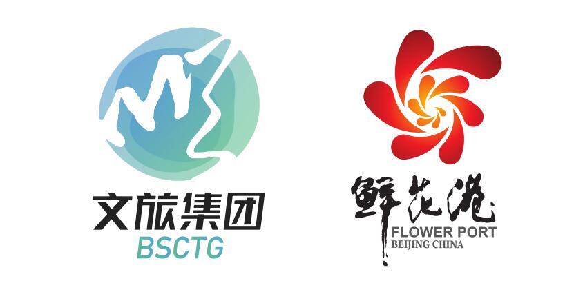 政府網(wǎng)站建設(shè)